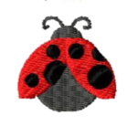 Coccinella +6,00€