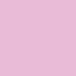 Rosa Carne