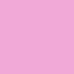 Rosa Carne