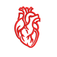 Cuore anatomico +8,00&euro;